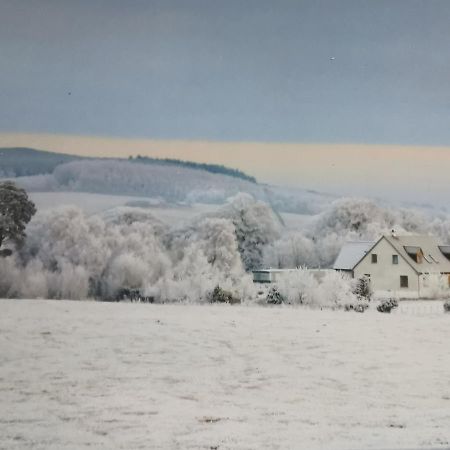 Hillhaven Bed &Breakfast Bed & Breakfast Fortrose Dış mekan fotoğraf